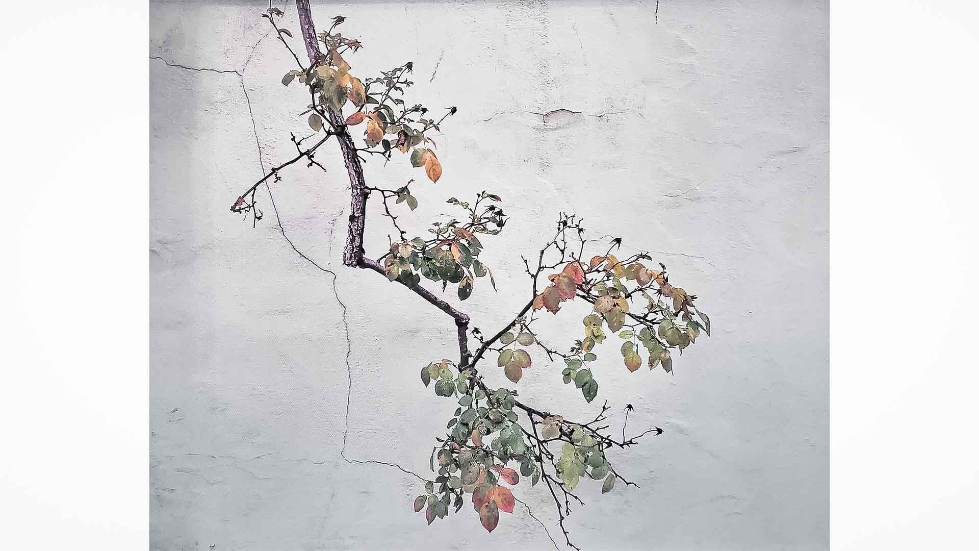 exihibit4-web.jpg
